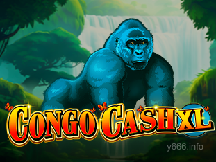 y666 Congo Cash XL