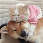 Avatar of Nimra Hussain